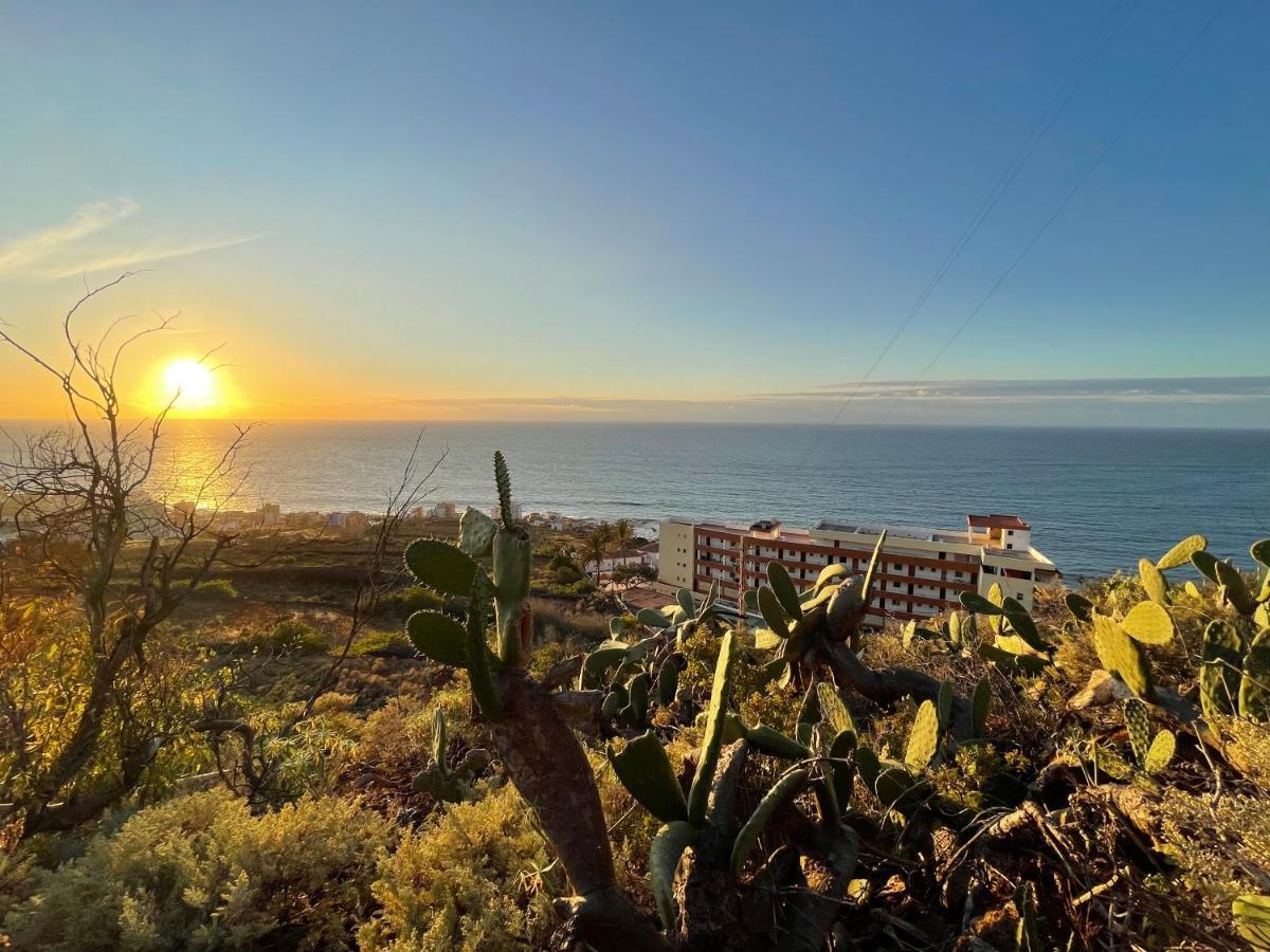 Apartamento Garza Blanca Бахамар Экстерьер фото
